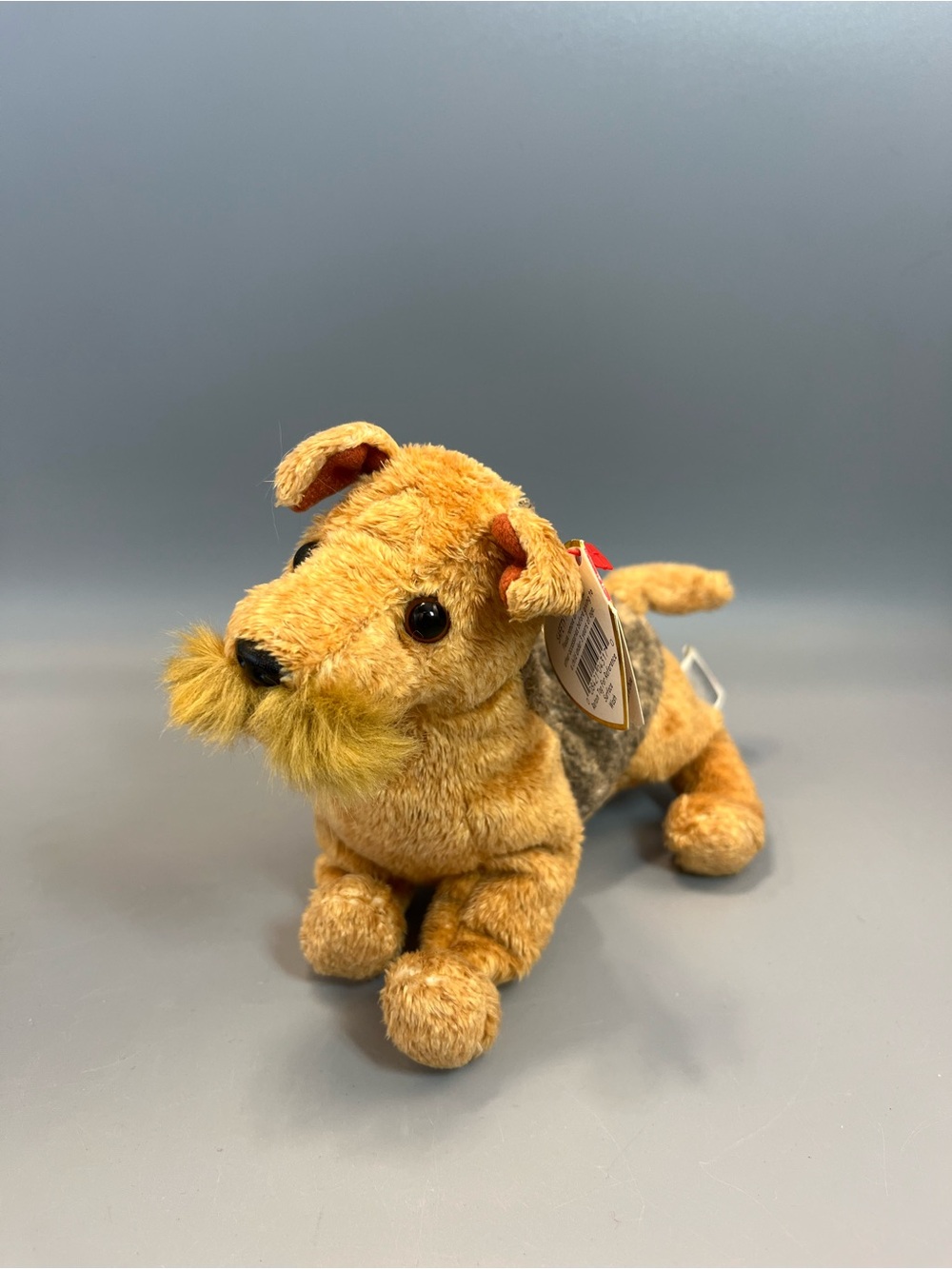 Ty Beanie Baby Whiskers 2000 6th Generation Hang Tag Nice!